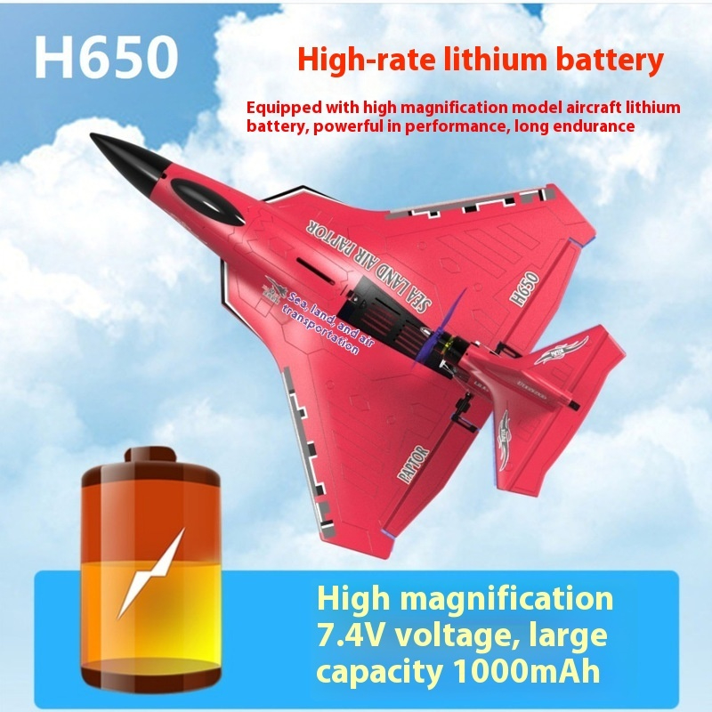 H650 Large RC Plane Fixed Wing - Rc Glider Foam Wing review and price