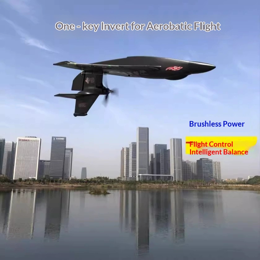 6CH RC Aircraft H650 Raptor Br - Rc Glider Foam Wing review and price
