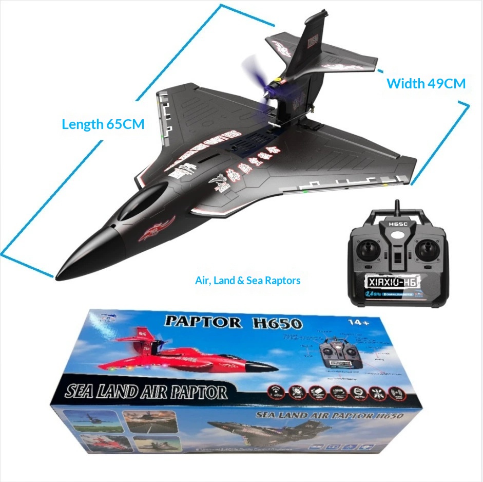 6CH RC Aircraft H650 Raptor Br - Rc Glider Foam Wing review and price